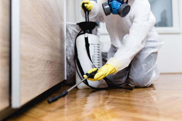 Pest Control Cost in Greenfield, TN