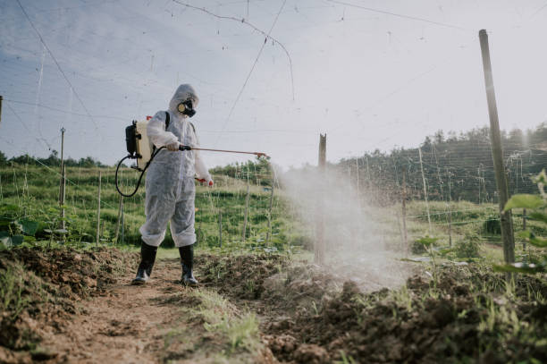 Best Mosquito Control Services  in Greenfield, TN