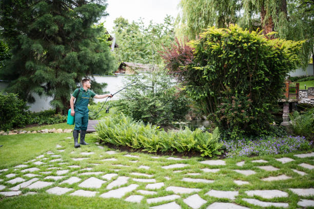 Best Best Pest Control Near Me  in Greenfield, TN