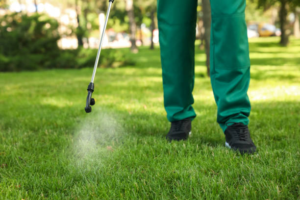 Trusted Greenfield, TN Pest Control Experts