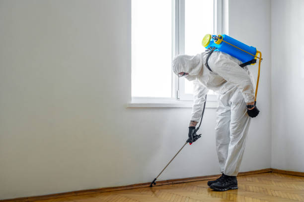 Best Emergency Pest Control  in Greenfield, TN
