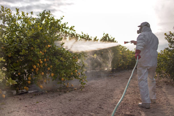 Best Pest Control Near Me in Greenfield, TN