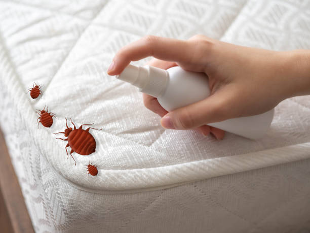 Flea Control Services in Greenfield, TN