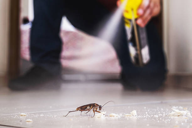 Best Flea Control Services  in Greenfield, TN