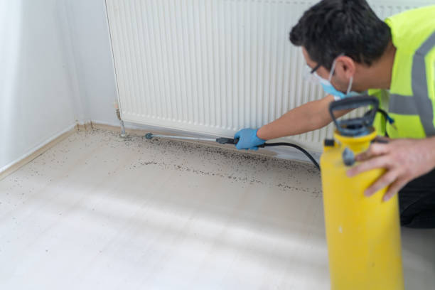 Best Pest Removal Services  in Greenfield, TN