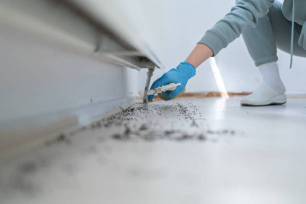 Bird Control in Greenfield, TN
